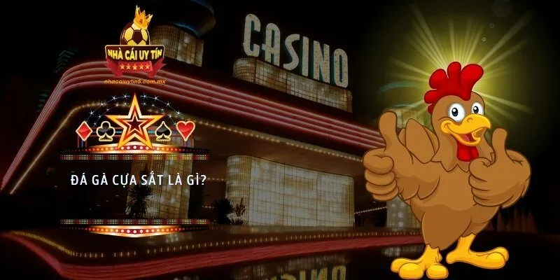 Đá gà cựa sắt là gì?