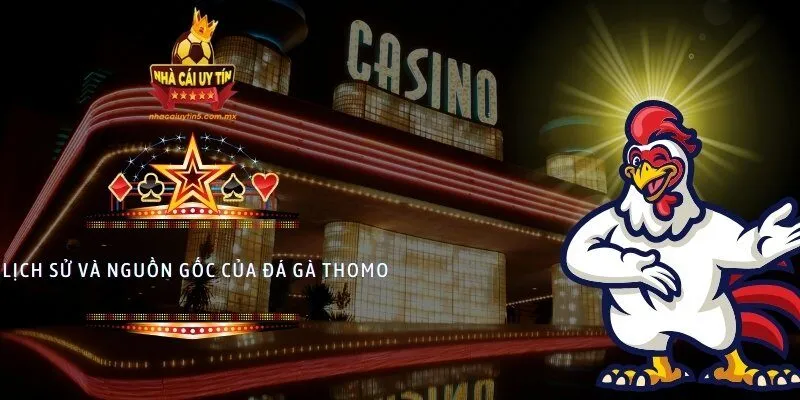 Lịch sử và nguồn gốc của đá gà thomo 